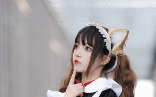 女仆猫猫：不能绑架如此可爱的猫咪