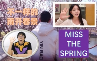 【南开大学×欣小萌×逍遥散人】MISS THE SPRING——致我们在南开园的春天