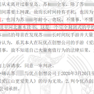 游戏日报：13岁玩家充值14万，其母曾将其送至衡水“戒网瘾” ...