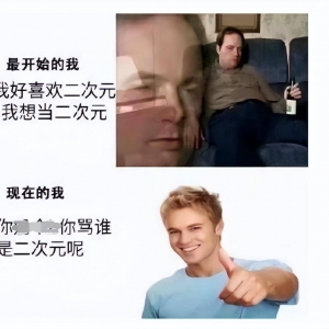 最后一届的世萌，正在消失的一批二次元